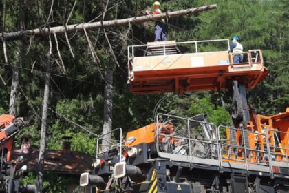 foto circulatia trenurilor intre sinaia busteni reluata dupa ce un copac a cazut pe linia de contact 2 106 minute de intarziere cumulate 68618680a9c76