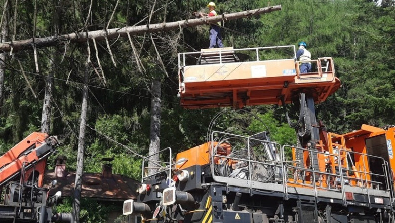 foto circulatia trenurilor intre sinaia busteni reluata dupa ce un copac a cazut pe linia de contact 2 106 minute de intarziere cumulate 68618680a9c76
