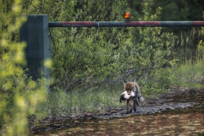 foto sub spectrul unui razboi cu rusia finlanda intareste frontiera nordica a nato ce inseamna asta pentru oamenii care locuiesc acolo 685ae0f7a305b