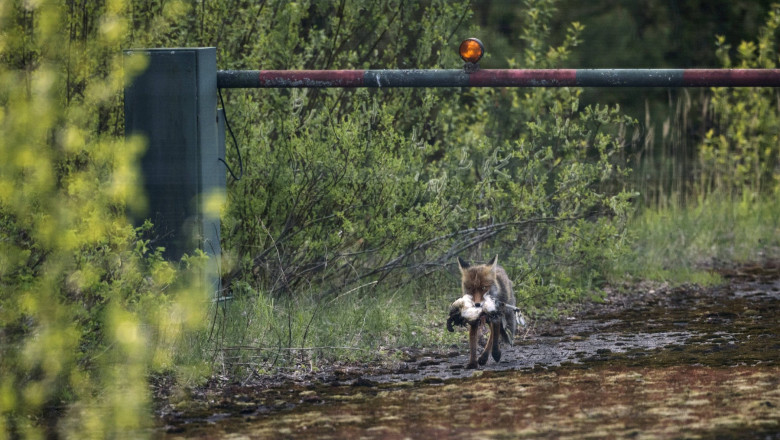 foto sub spectrul unui razboi cu rusia finlanda intareste frontiera nordica a nato ce inseamna asta pentru oamenii care locuiesc acolo 685ae0f7a305b