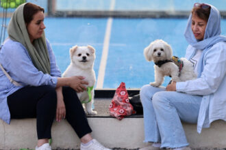 interdictii tot mai dure in iran plimbatul cainilor si transportul acestora cu masina interzise in mai multe orase 6846bebf71828