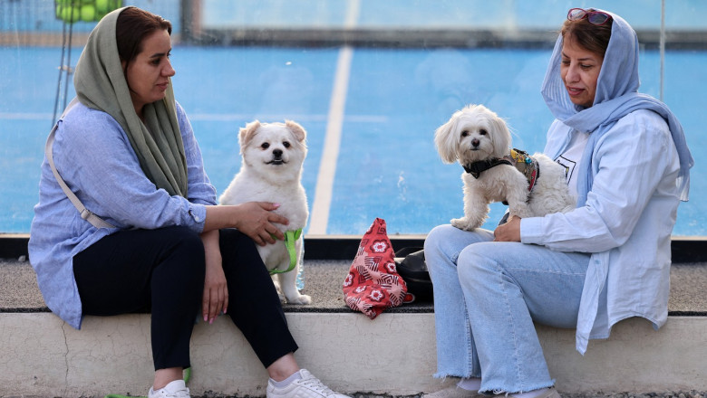 interdictii tot mai dure in iran plimbatul cainilor si transportul acestora cu masina interzise in mai multe orase 6846bebf71828