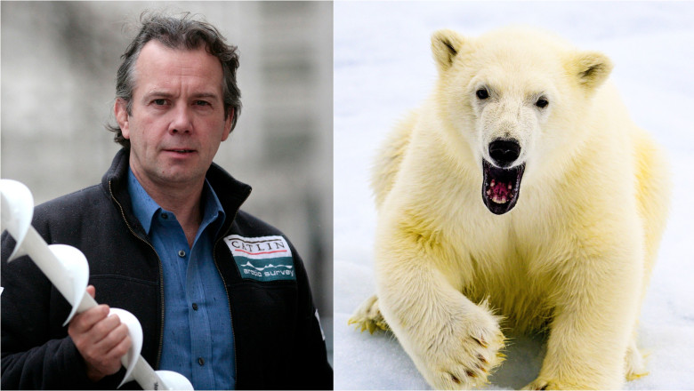 m am luptat cu un urs polar inarmat cu o cratita cum a scapat cu viata un explorator britanic aflat singur pe o insula inghetata 683cb7270fae0