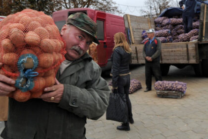 mafia cartofilor starneste furie in belarus cum a declansat lukasenko o criza agricola de care profita rusia 685e1b4f1916f