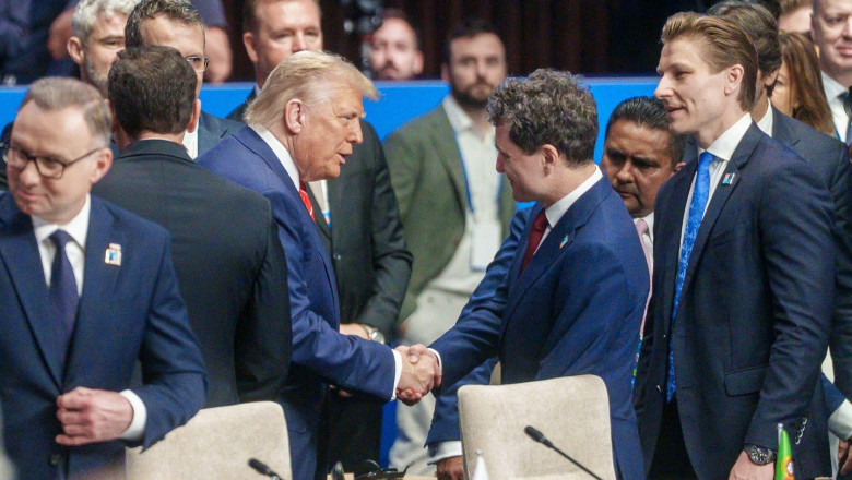 news alert nicusor dan declaratie de la summitul nato am reafirmat sprijinul pentru ucraina ce a discutat cu donald trump 685c0bb4a0674