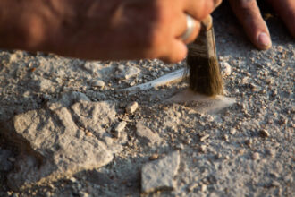 noi dovezi arheologice oamenii populau teritoriul americii in urma cu 23 000 de ani ce au descoperit cercetatorii in new mexico 6854dd71beb2e