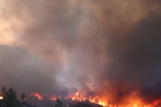 o menajera este acuzata ca a provocat unul dintre incendiile devastatoare din insula greceasca chios 685ce5c4c855a