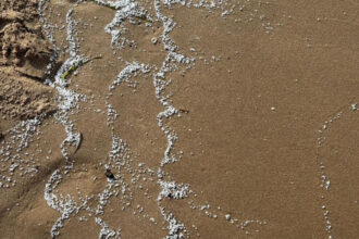 patru plaje de langa valencia au fost inchise dupa ce pe nisip au aparut particule albe misterioase 6847b27eca3e8