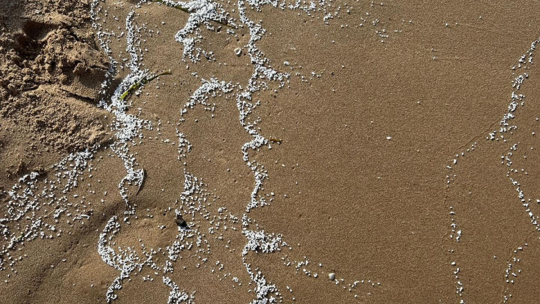 patru plaje de langa valencia au fost inchise dupa ce pe nisip au aparut particule albe misterioase 6847b27eca3e8