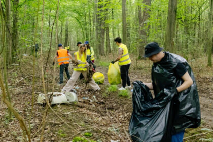peste 15 tone de deseuri colectate in cadrul campaniei de ecologizare a bat romania in padurea plopeni judetul prahova 6862723ac55b1