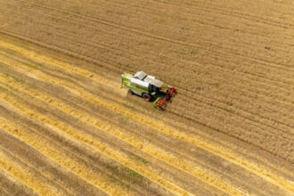 preturile mondiale la alimente au scazut in luna mai in urma ieftinirii cerealelor zaharului si uleiului 6842d71fd10d5