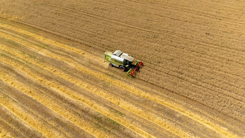 preturile mondiale la alimente au scazut in luna mai in urma ieftinirii cerealelor zaharului si uleiului 6842d71fd10d5