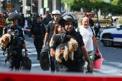 romania permite intrarea animalelor de companie din israel chiar si fara vaccin sau microcip in baza unui formular 685ab6f29eb51