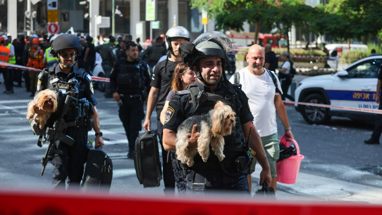 romania permite intrarea animalelor de companie din israel chiar si fara vaccin sau microcip in baza unui formular 685ab6f29eb51