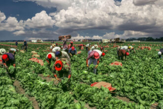 trump spune ca administratia sua lucreaza la introducerea unui permis temporar pentru imigrantii din anumite sectoare ale economiei 6861a9e3794ed