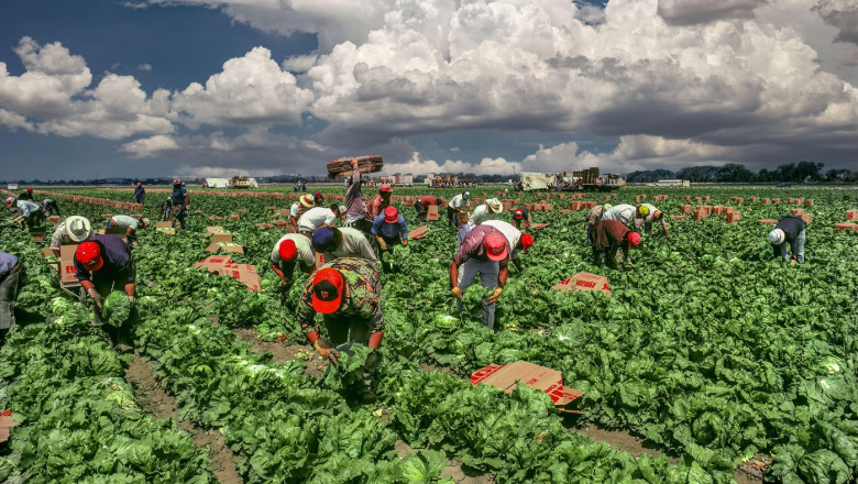 trump spune ca administratia sua lucreaza la introducerea unui permis temporar pentru imigrantii din anumite sectoare ale economiei 6861a9e3794ed