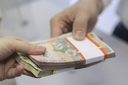 unde se scurg banii de la buget sefi de institutii sunt platiti cu mii de lei pentru sedinte consultative solutia propusa de guvern 685d136049245