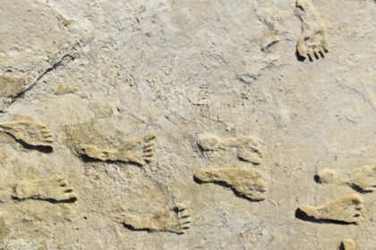 urmele de pasi care schimba istoria americii ce au descoperit cercetatorii in white sands 68620c4d30775