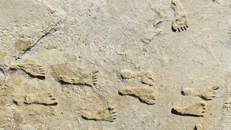 urmele de pasi care schimba istoria americii ce au descoperit cercetatorii in white sands 68620c4d30775