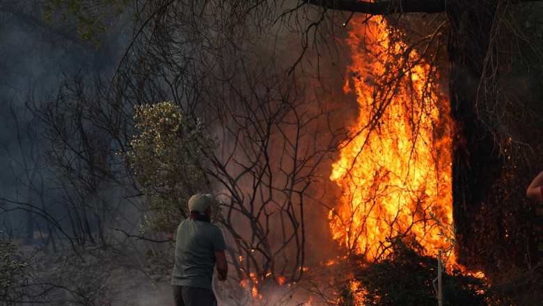video incendii de vegetatie in provincia izmir din turcia 77 de focare au izbucnit in doar 24 de ore peste 1 000 de pompieri mobilizati 686232cb7a7b5