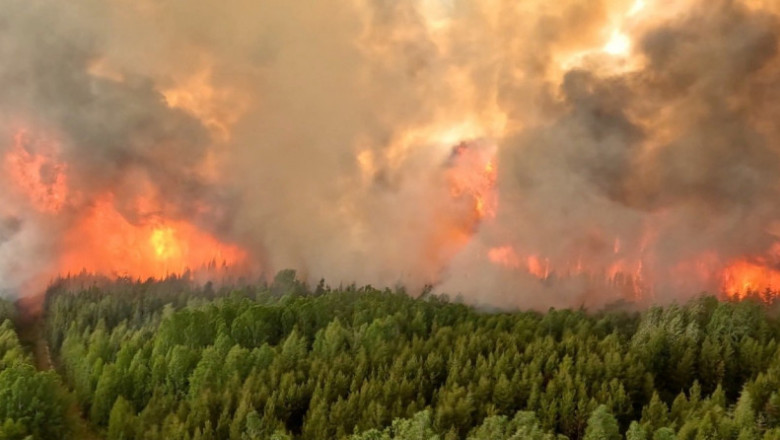 video incendii de vegetatie puternice in canada localitati evacuate cu ajutorul armatei focul se extinde catre provincia ontario 6847c8cef28fb