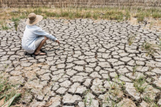 video planeta va depasi in trei ani pragul incalzirii globale de 15 grade celsius avertizeaza oamenii de stiinta 6853e382d149a