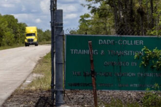 video sua au inceput construirea alcatrazului cu aligatori pentru imigrantii ilegali 685bb063d822b