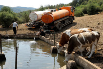 vreme extrema in europa de sud est tarile din balcani se confrunta cu temperaturi istorice 685d5d77b7daa