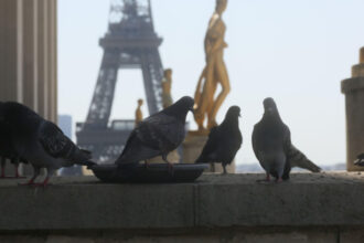 canicula lasa parisul fara curent electric realimentarea cu energie este ingreunata de o greva 686a4ed30c3ed