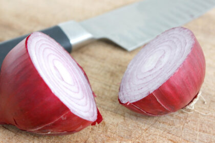 ceapa de buzau bot de vulpe soi pierdut si recuperat din sua a fost inscris in catalogul european 6864eb8132eec