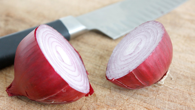 ceapa de buzau bot de vulpe soi pierdut si recuperat din sua a fost inscris in catalogul european 6864eb8132eec