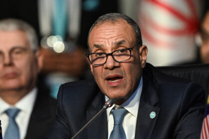 complot terorist pentru atacarea instalatiilor de securitate si economice ale egiptului ce a descoperit executivul de la cairo 687cdd33265e8