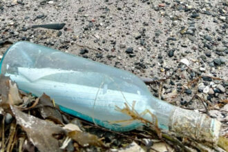 foto doi indragostiti din canada au lansat un mesaj in sticla in atlantic acum 13 ani unde a ajuns biletul si care e povestea celor doi 687481f28c201