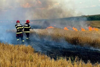 foto incendiile au facut prapad in arges sute de pomi fructiferi 4 autovehicule si mai multe anexe gospodaresti au ars 6886f6775c954