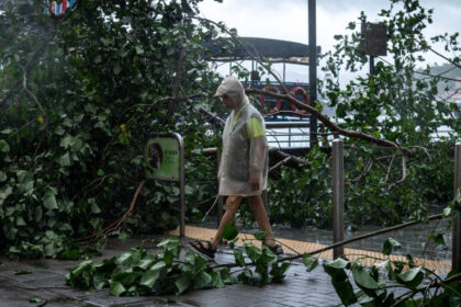 galerie foto taifunul wipha a lovit sudul chinei ploi torentiale peste 400 de copaci doborati si zeci de persoane ajunse la spital in hong kong 687d32dc0d974