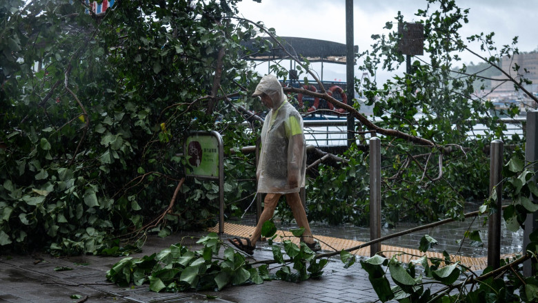 galerie foto taifunul wipha a lovit sudul chinei ploi torentiale peste 400 de copaci doborati si zeci de persoane ajunse la spital in hong kong 687d32dc0d974