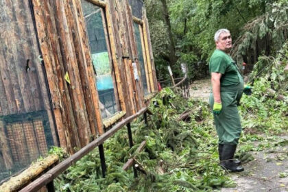 gradina zoologica bucuresti inchisa temporar din cauza furtunii de ieri care este starea animalelor 687bf63192e11