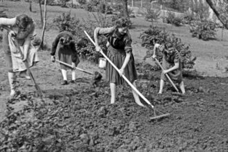 landurile germaniei nu cad de acord asupra inceperii vacantei de vara pentru elevi complicatul sistem german de vacanta prin rotatie 6878781ce5403