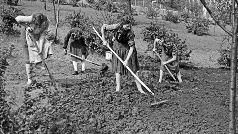 landurile germaniei nu cad de acord asupra inceperii vacantei de vara pentru elevi complicatul sistem german de vacanta prin rotatie 6878781ce5403