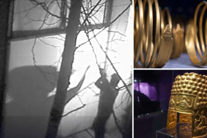 noi audieri in cazul furtului coifului de la cotofenesti si al bratarilor dacice din olanda date din ancheta 6889eafd126bb