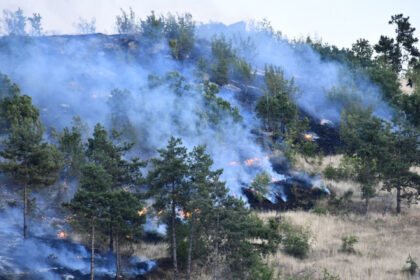 stare de urgenta in macedonia de nord din cauza incendiilor de padure 686e164e71d4b