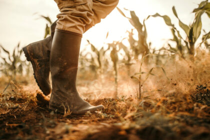 un fermier din vrancea a devenit milionar dupa ce a pierdut tot despagubiri uriase de la statul roman 6885dcdd93646