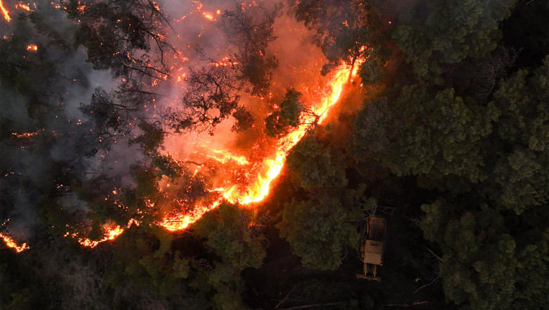 video incendiile devastatoare au distrus 3 din padurile siriei damascul a cerut ajutorul ue pentru a opri focarele 686d1335bafd4