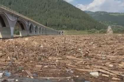 video pericol la barajul bicaz tone de lemne au fost aduse de viitura si au acoperit lacul ce spun autoritatile despre situatie 688b3a98affe8