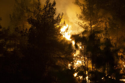 video scene apocaliptice turcia se lupta cu incendiile forestiere localitati evacuate de urgenta si peste 1 000 de pompieri mobilizati 6886581f153c9