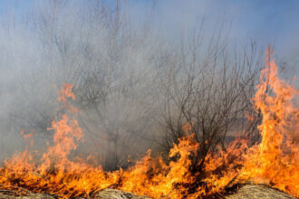 videofoto incendiu de vegetatie in zona marelui canion din sua mai multe cladiri au ars din temelii 6874b41813f7c