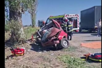 accident grav in ilfov doi barbati inconstienti dupa ce masina s a izbit de un copac 68af2a54d5b32