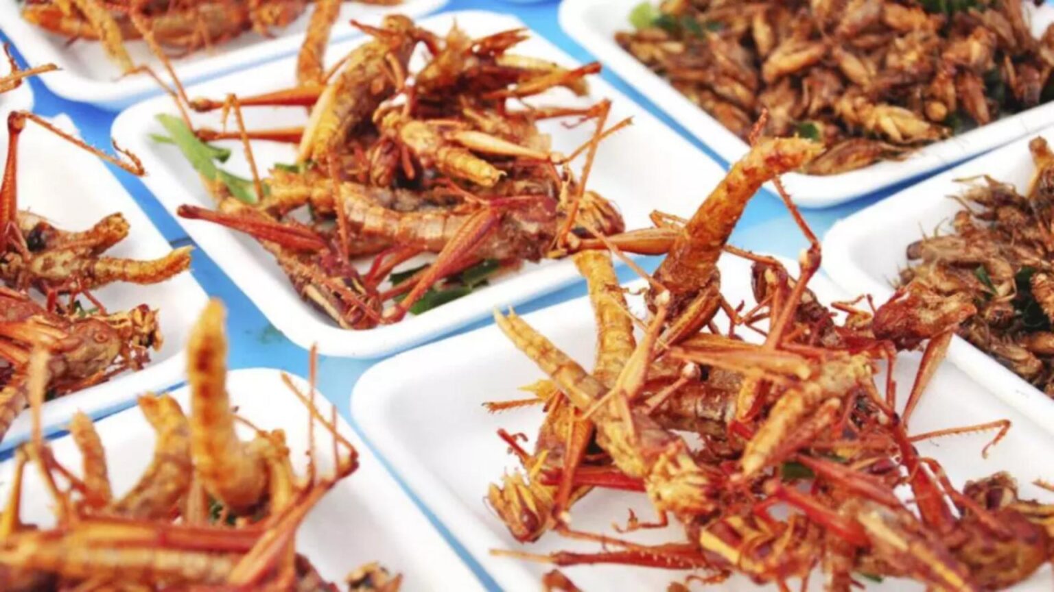 cum sa descoperi daca produsele de la raft contin faina de insecte detaliul de pe eticheta care ii da de gol pe producatorii necinstiti 68b2eed1b85df