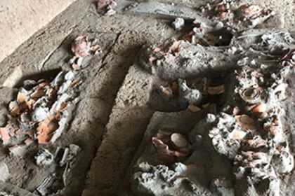 foto descoperire rara dinti vechi de 4 000 de ani arata ca oamenii consumau nuci cu efecte psihoactive 689055701b28e