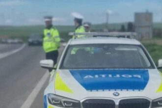 incendiu de padure pe valea oltului trafic restrictionat si o persoana ranita 68ade13bbd945